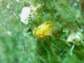 20110911P9110072.jpg
