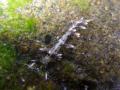 20100920IMGP0575.jpg