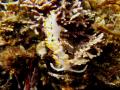 20100822IMGP0073.jpg
