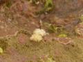 20091004PA020002.jpg
