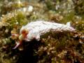 20100822IMGP0151.jpg