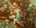 e0041143_21374587.jpg