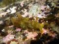 20100822IMGP0028.jpg
