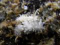 20100418IMGP0376.jpg