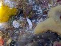 e0041143_13160236.jpg