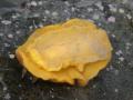 20100322IMGP0188.jpg