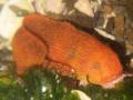 20100227PC260168.jpg